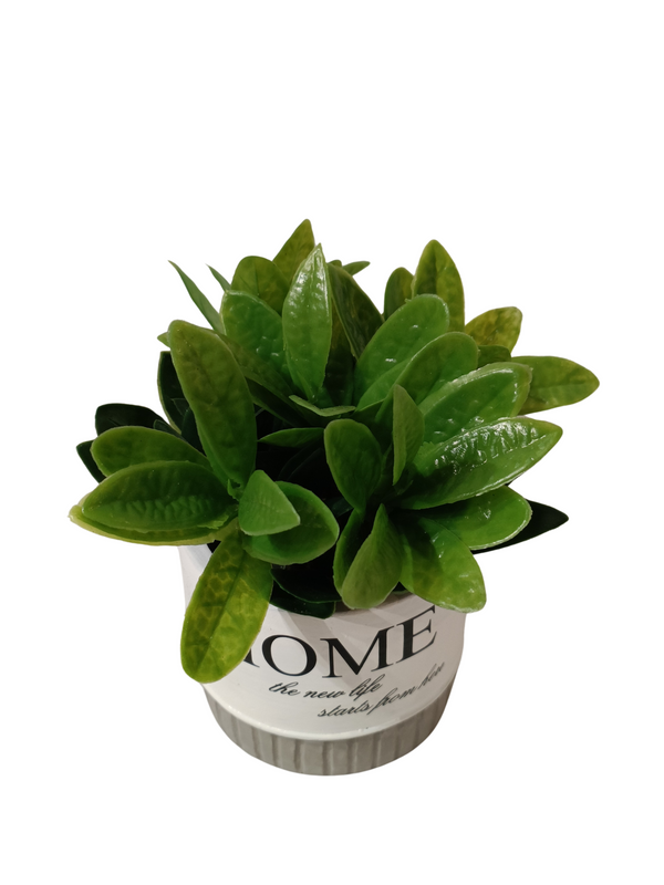 Money Plant With Design Pot - Table Size (Faux)