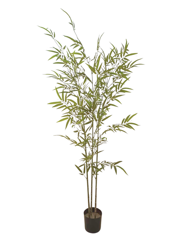 Japanese Bamboo Plant 2m - Faux