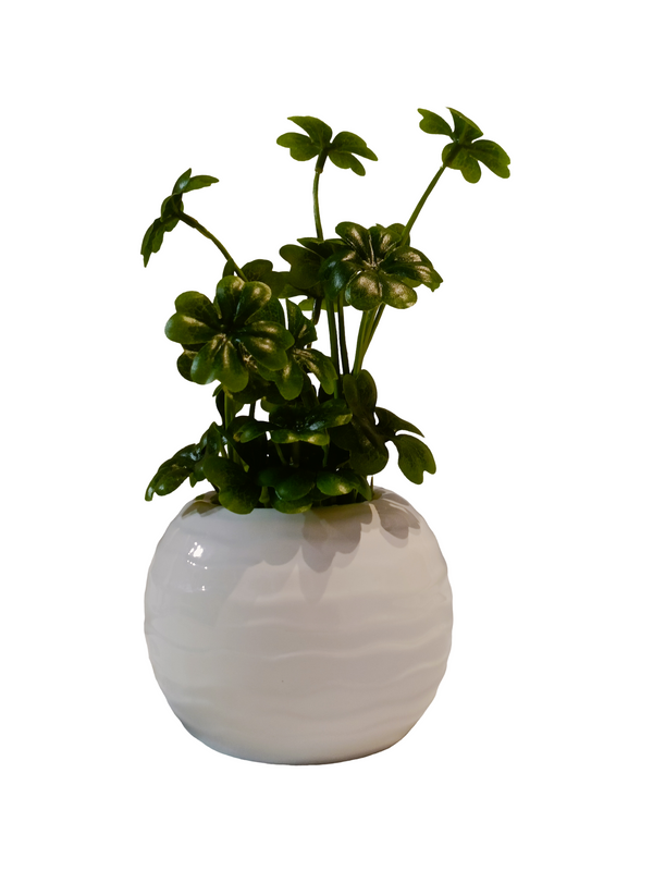 Four-leaf Clover Plant With Round Pot - Table Size (Faux)
