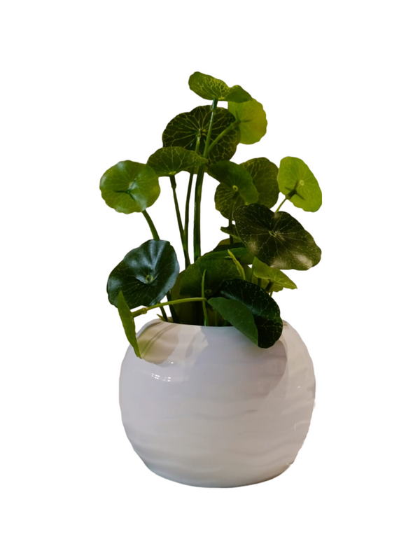 Copper Coin Plant With Round Pot - Table Size (Faux)