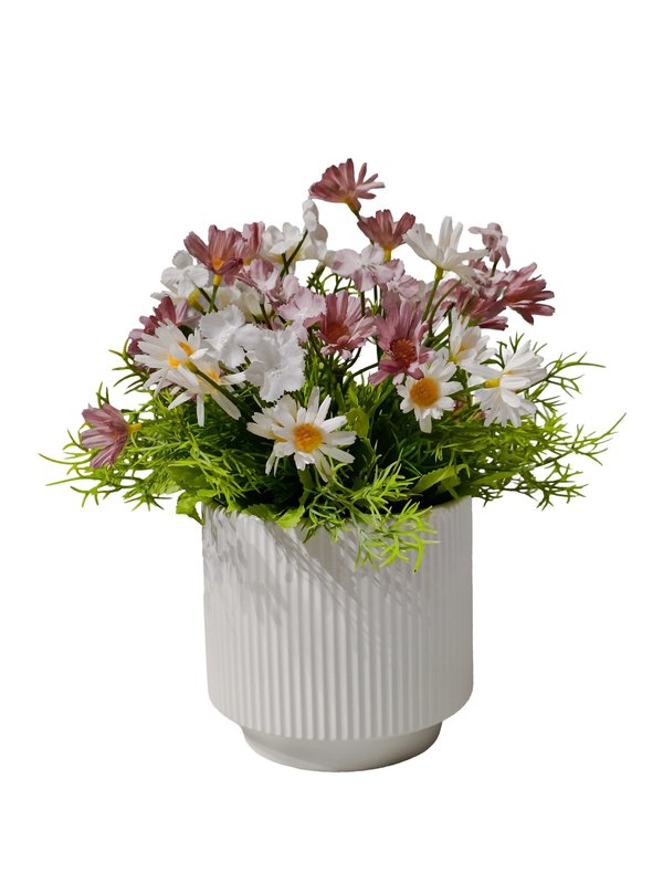 Bellis Perennis With White Modern Pot - Table Size (Faux)