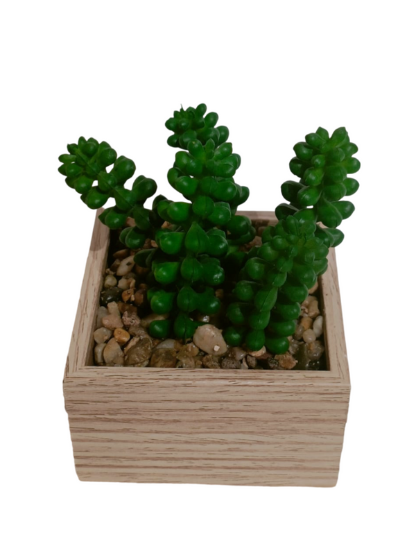 Sedum Morganianum Plant With Wooden Pot - Table Size (Faux)