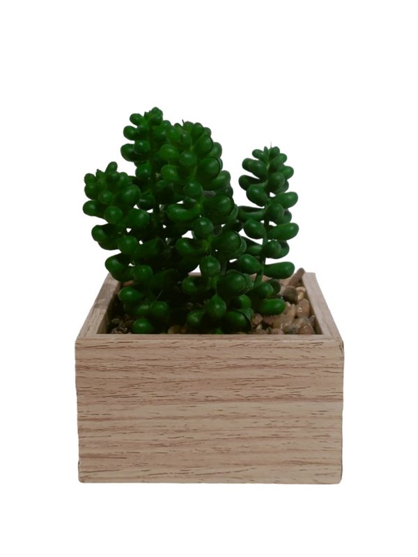 Sedum Morganianum Plant With Wooden Pot - Table Size (Faux)