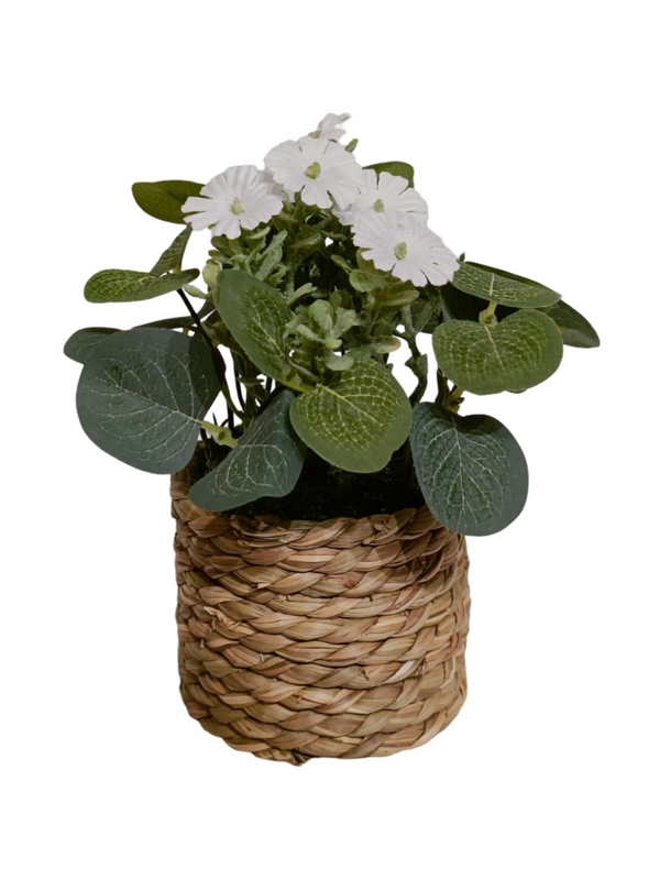 Eucalyptus Plant With Small Flower (Scandi Pot) - Table Size (Faux)