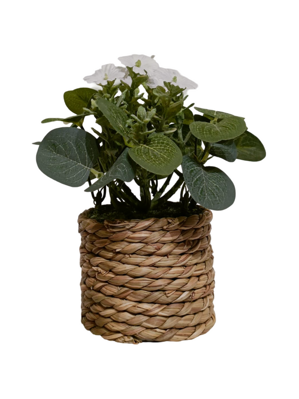 Eucalyptus Plant With Small Flower (Scandi Pot) - Table Size (Faux)