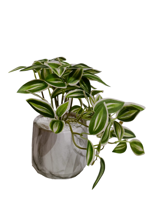 Hanging Inchplant Plant With Design Pot - Table Size (Faux)