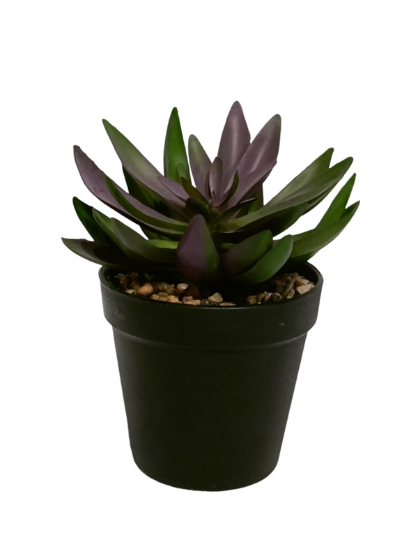 Purple Echeveria Plant With Black Pot - Table Size (Faux)