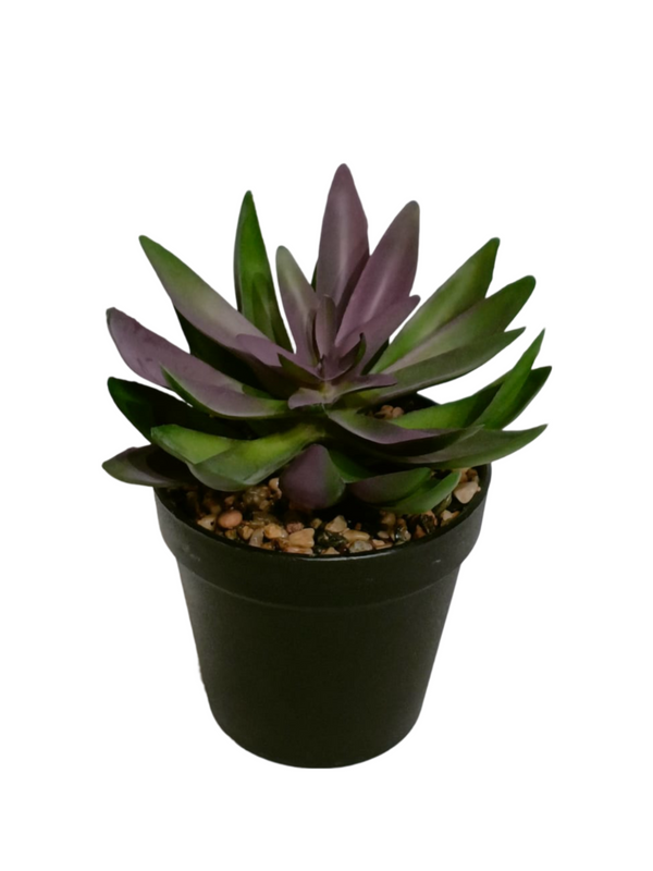 Purple Echeveria Plant With Black Pot - Table Size (Faux)