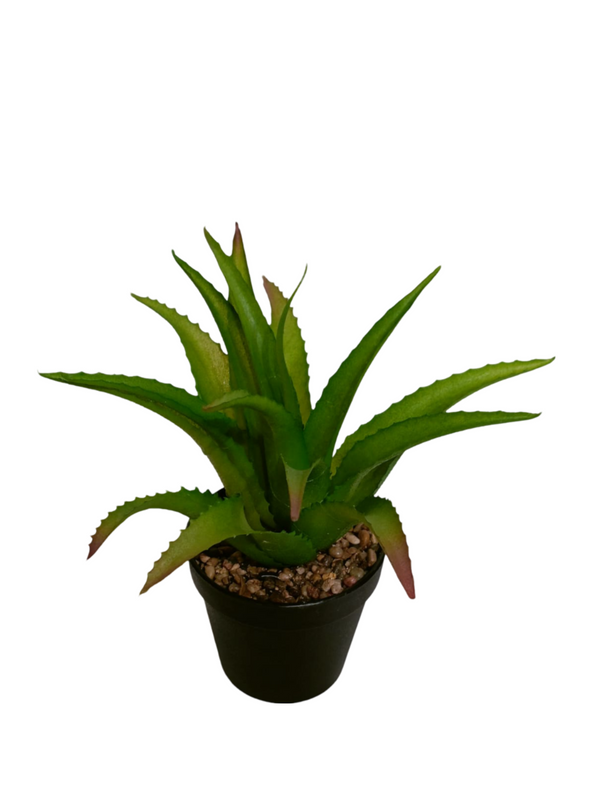 Aloe Vera Plant With Black Pot - Table Size (Faux)