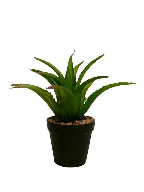 Aloe Vera Plant With Black Pot - Table Size (Faux)