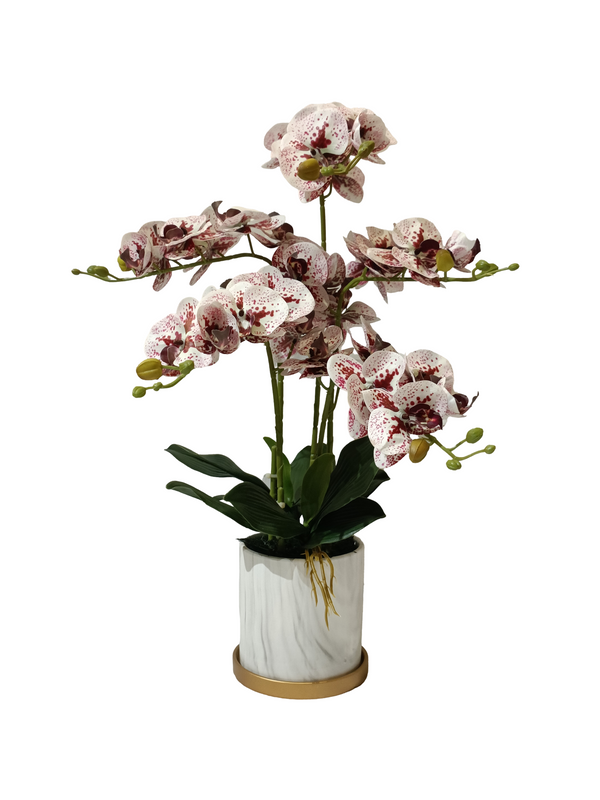 Orchid Plant (Maroon) - Faux 