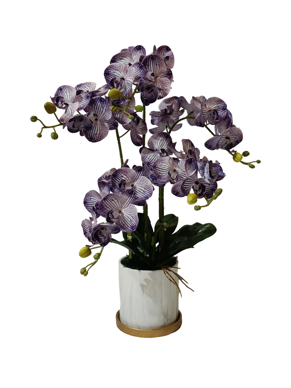 Orchid Plant (Dark Purple) - Faux