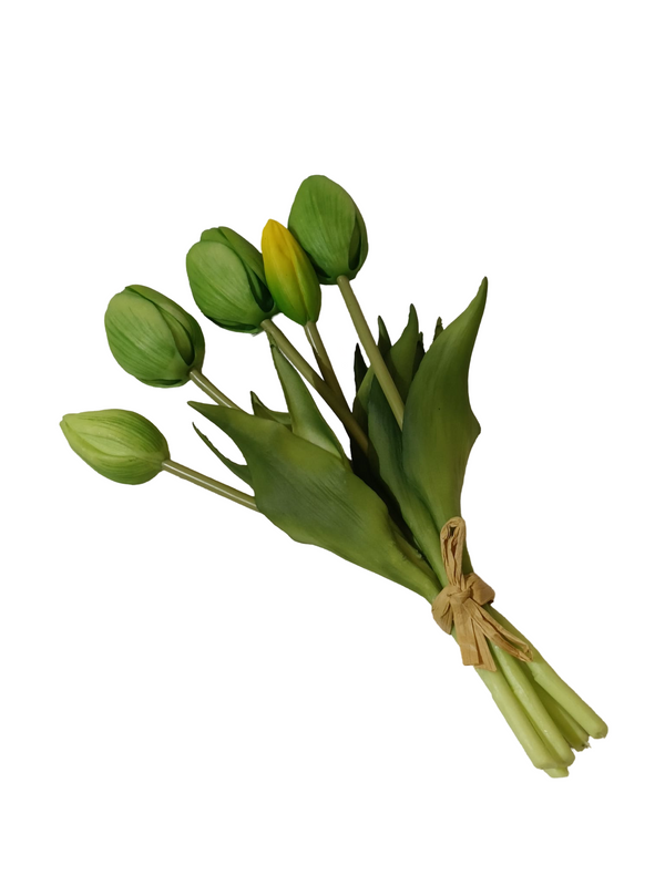 Green Tulip (Stalk) - Faux