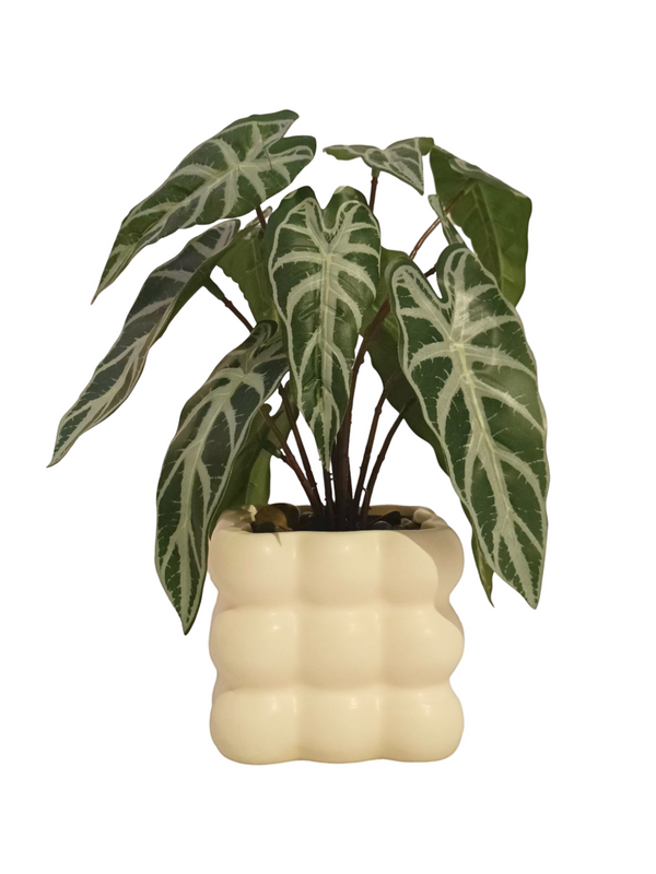 Alocasia Plant With Modern Pot - Table Size (Faux)