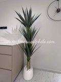 Yucca Tree 1.7m - Faux