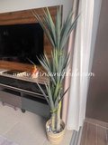 Yucca Tree 1.7m - Faux