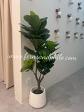 1.2m Ficus Plant - Faux