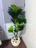 1.2m Ficus Plant - Faux