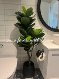 1.2m Ficus Plant - Faux