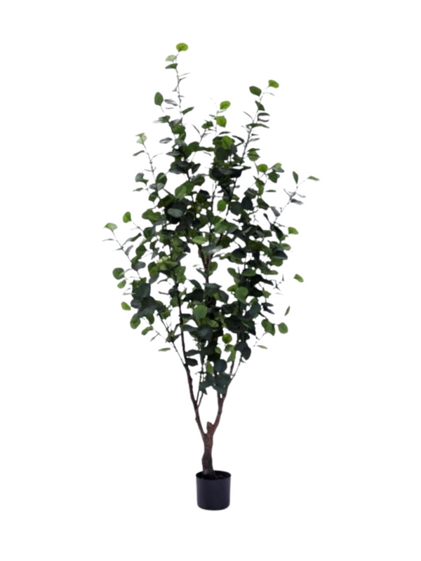 Eucalyptus Plant 1.8m - Faux