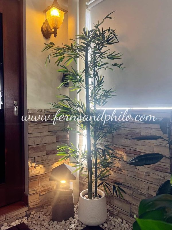 Bamboo Plant 1.8m - Faux