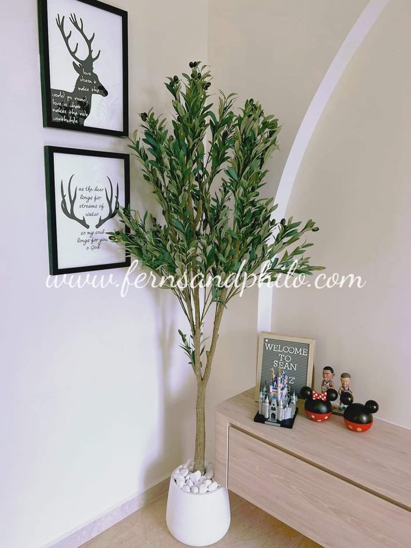 Olive Plant Tree 1.8m - Faux