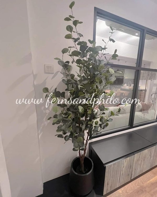 Eucalyptus Plant 1.8m - Faux