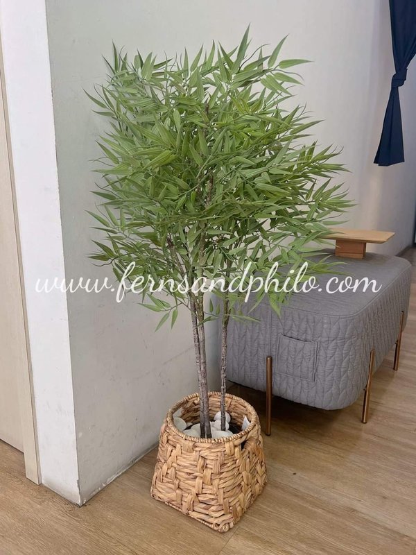 Japanese Bamboo Plant 1m - Faux