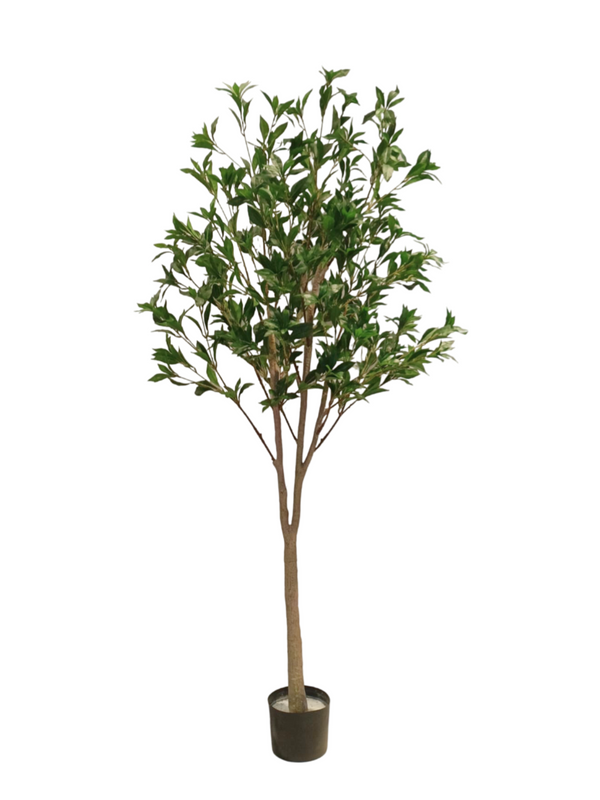 Laurus Nobilis Leaf Tree 1.8m - Faux 