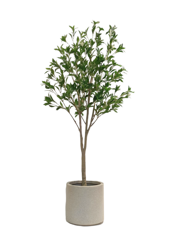 Laurus Nobilis Leaf Tree 1.8m - Faux 