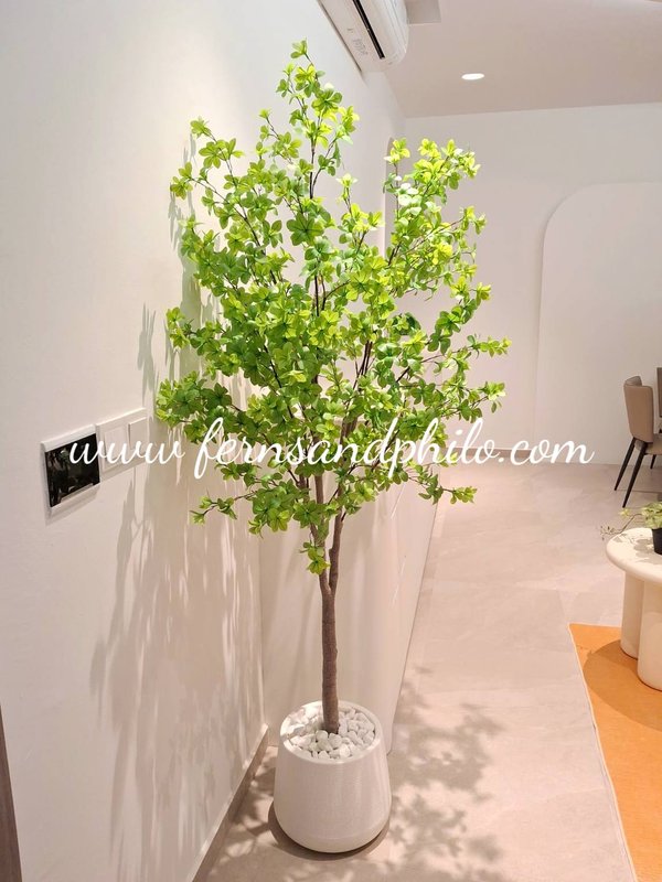 Japanese Bell Leaf Tree 1.8m - Faux