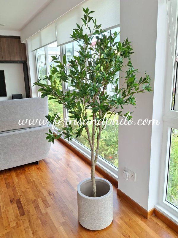Laurus Nobilis Leaf Tree 1.8m - Faux