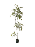 Yucca Tree 1.7m - Faux