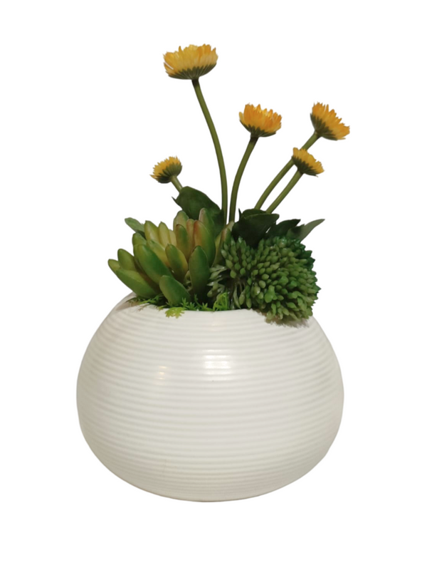 Multiple Agave With Flower Modern Pot (Design 1) - Table Size (Faux)