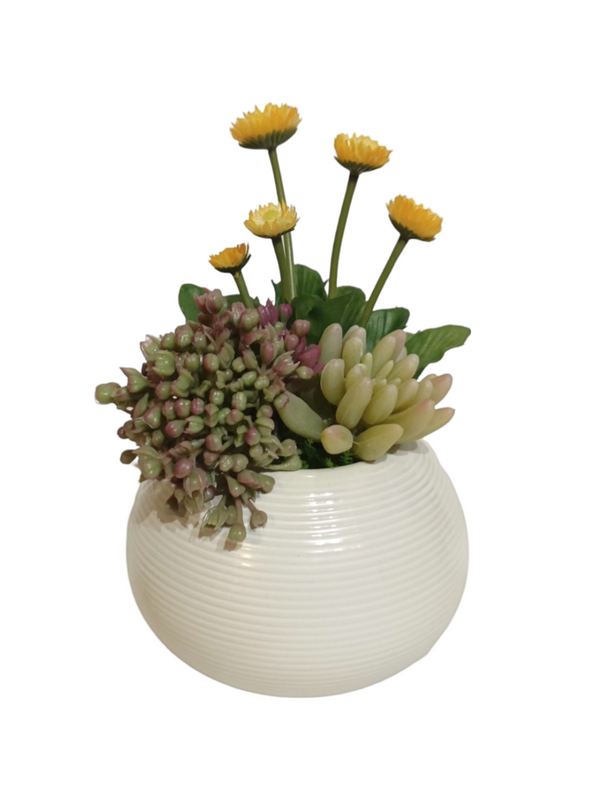 Multiple Agave With Flower Modern Pot (Design 2) - Table Size (Faux)