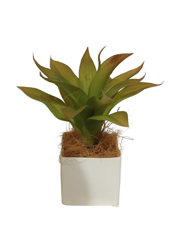 Agave Plant With White Pot - Table Size (Faux)