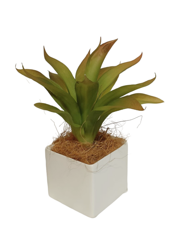 Agave Plant With White Pot - Table Size (Faux)