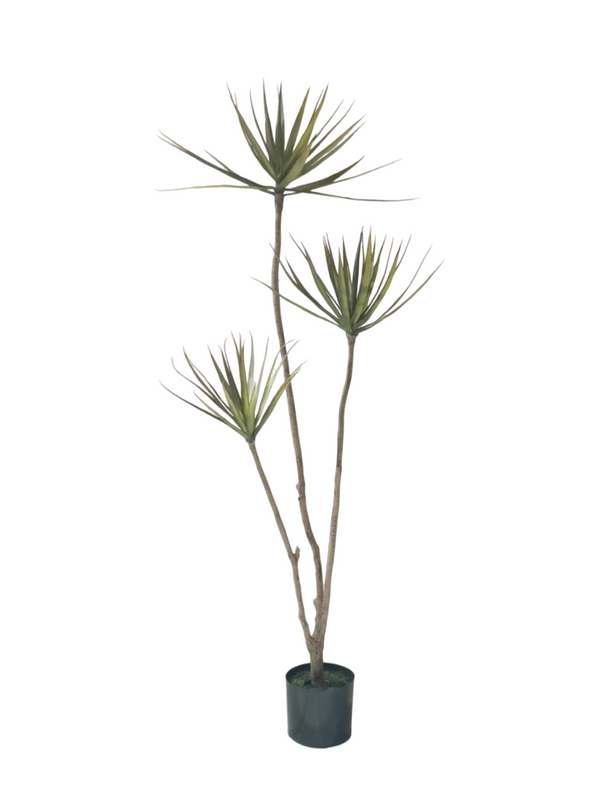 Yucca Tree 1.5m (Thin Leaves) - Faux