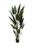 Sky Bird Plant 1.6m - Faux