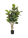 1.2m Ficus Plant - Faux