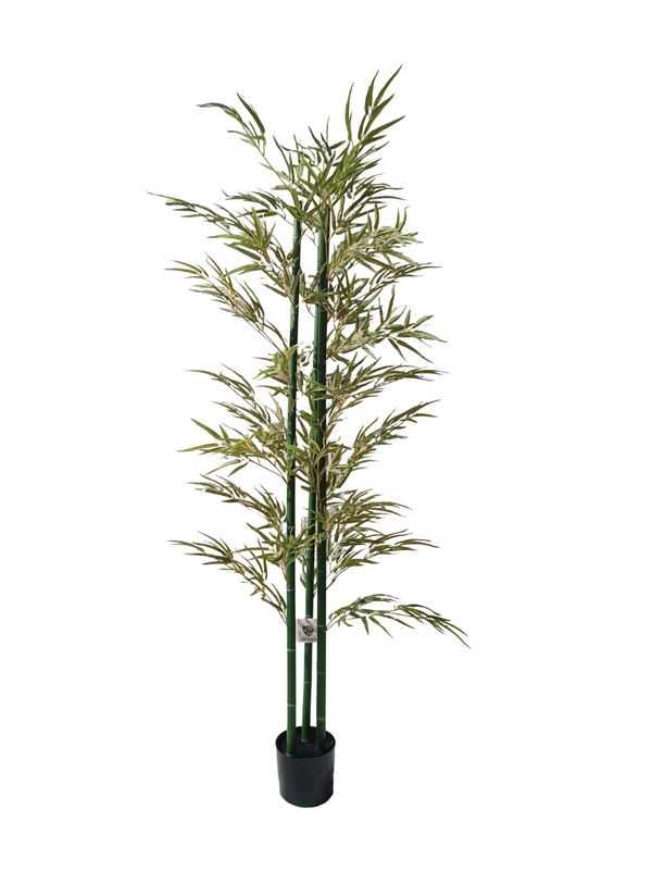 Bamboo Plant 1.8m - Faux