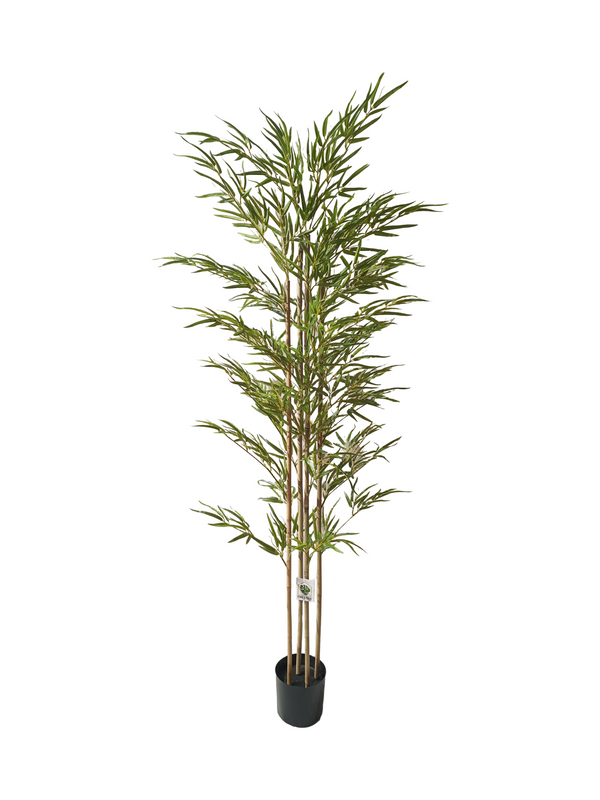 Japanese Bamboo Plant 2m - Faux