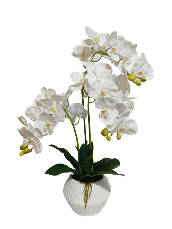 Orchid Plant White With Modern Pot - Faux