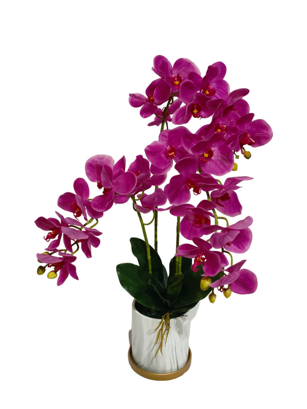 Orchid Plant (Purple) - Faux