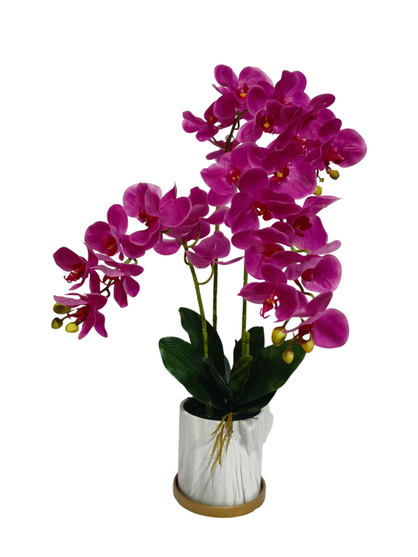 Orchid Plant (Purple) - Faux