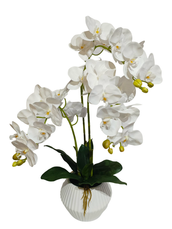 Orchid Plant White With Modern Pot - Faux