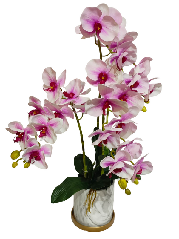 Orchid Plant (White / Purple) - Faux