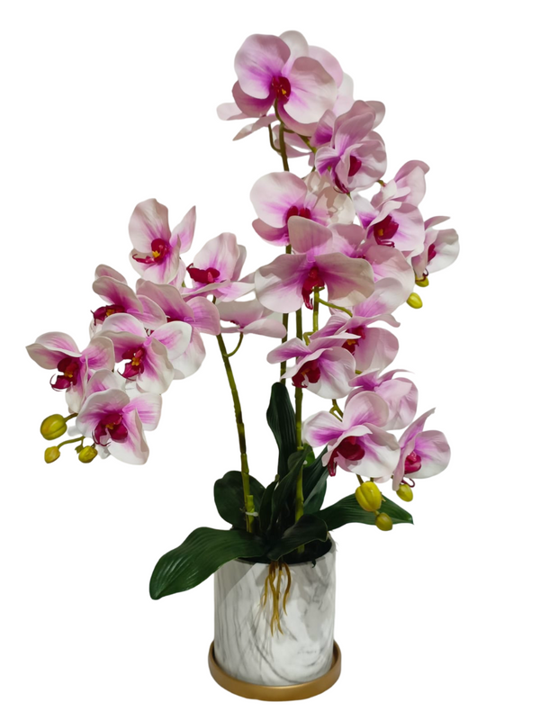 Orchid Plant (White / Purple) - Faux