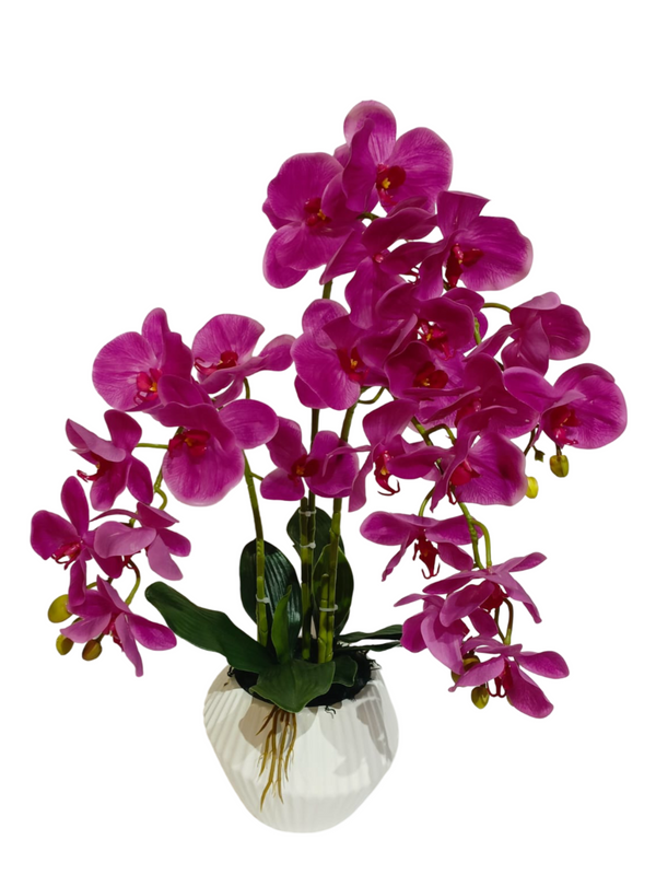 Orchid Plant Purple With Modern Pot - Faux