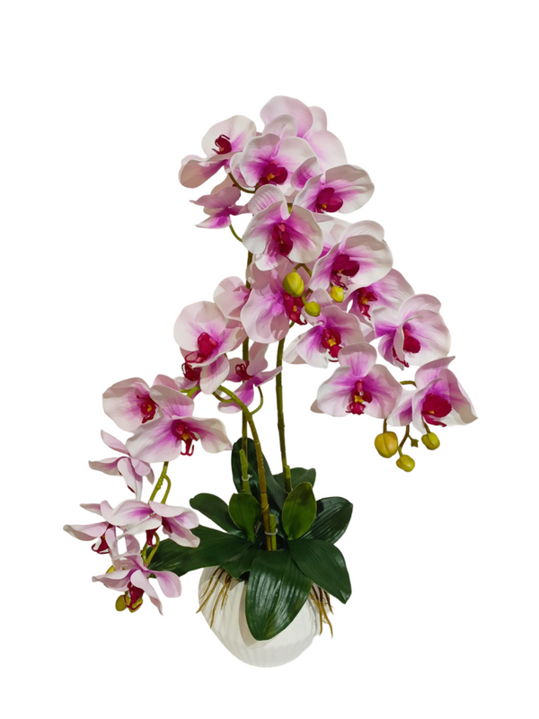 Orchid Plant White/Purple With Modern Pot - Faux